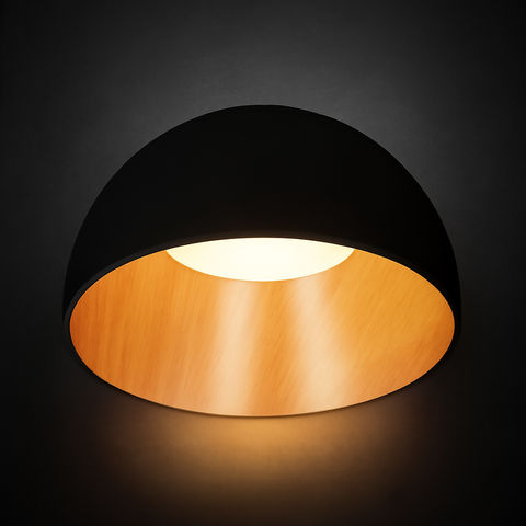 Ceiling Light ( 10 )